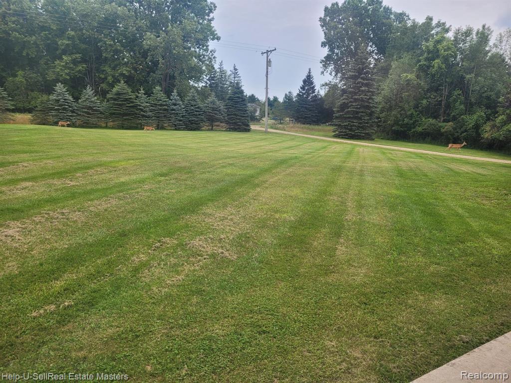 8036 ARENDT Road, Melvin, MI 48454 — Photo 35