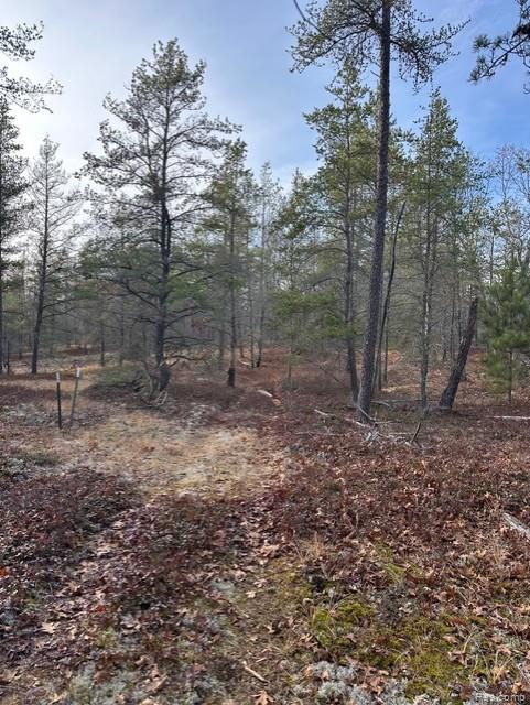 VL W AuSable Point Road, Oscoda, MI 48750 — Photo 7