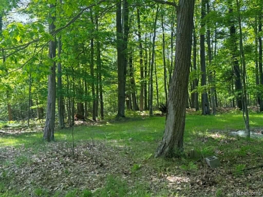Lot 4 Towering Oaks Drive, Port Austin, MI — Photo 3