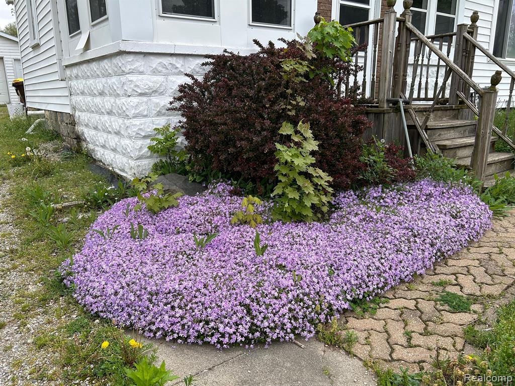 305 E WASHINGTON Avenue, Vernon, MI 48476 — Photo 5