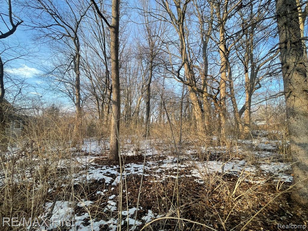 GLENWOOD GLENWOOD Street, Clinton Twp, MI 48035 — Photo 4