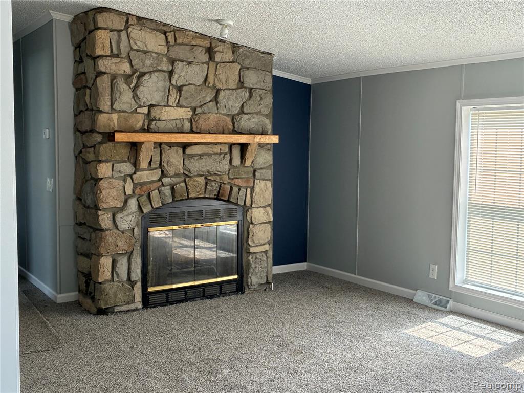 420 Hidden Ridge, Morrice, MI 48857 — Photo 8
