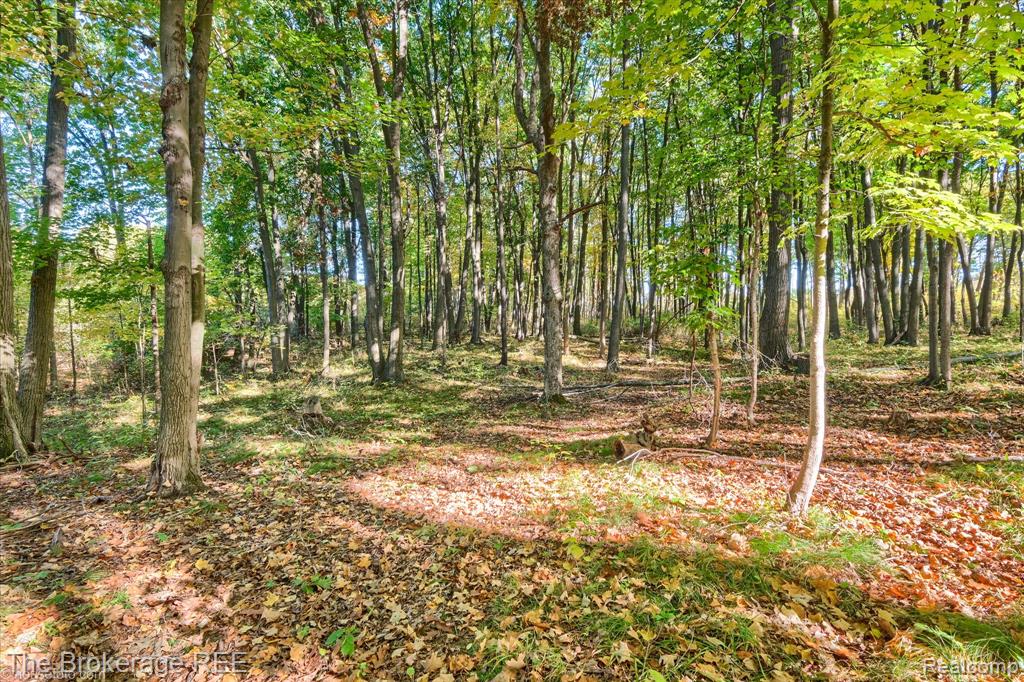 5400 N Center Road, Genesee, MI 48506 — Photo 19