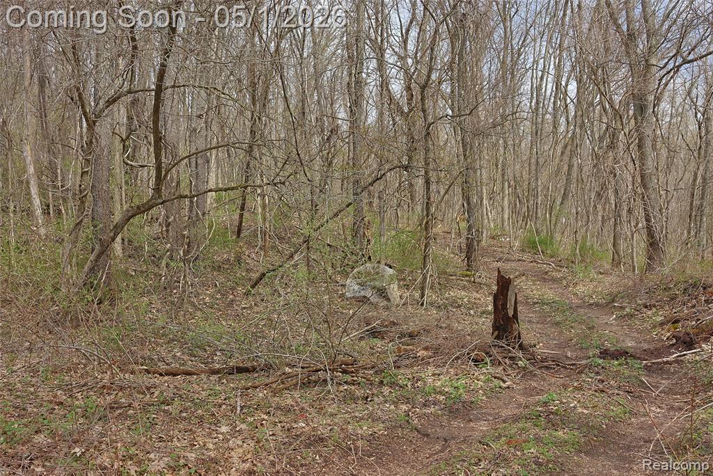 2775 Hummer Lake Road, Ortonville, MI 48462 — Photo 41