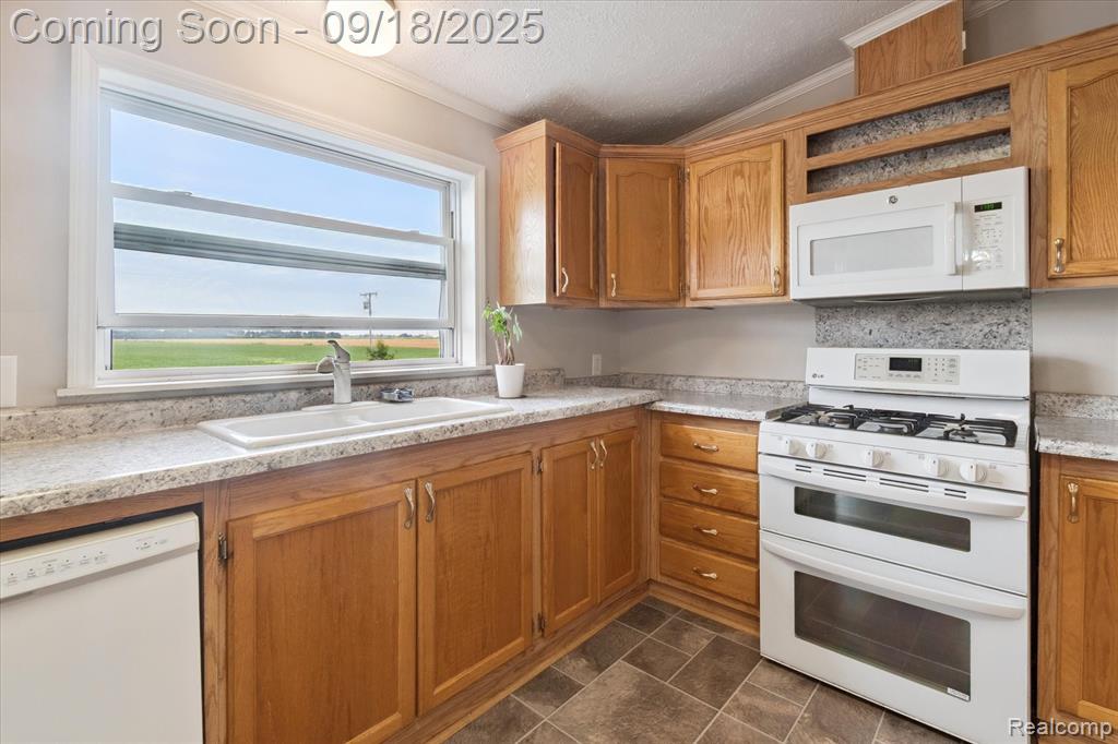 6095 Caro Road, Vassar, MI 48768 — Photo 11