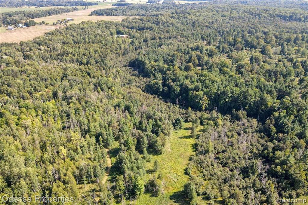 7440 Miller Rd, Whittemore, MI 48770 — Photo 51