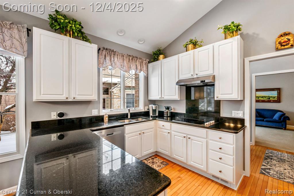 16925 Lochmoor Circle E, Northville, MI 48168 — Photo 21