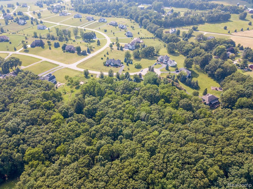 8045 TRAIL Ridge, Dexter, MI 48130 — Photo 6