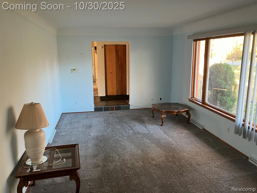 3335 W Water Street, Port Huron, MI 48060 — Photo 8