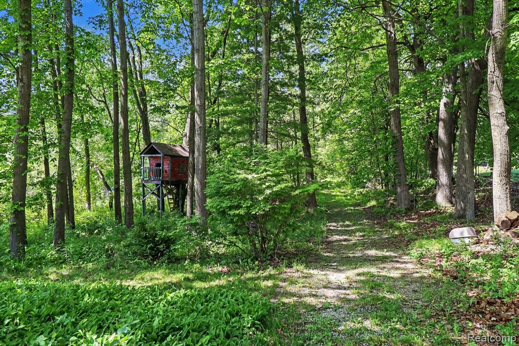 16400 Easudes Road, Grass Lake, MI 49240 — Photo 68