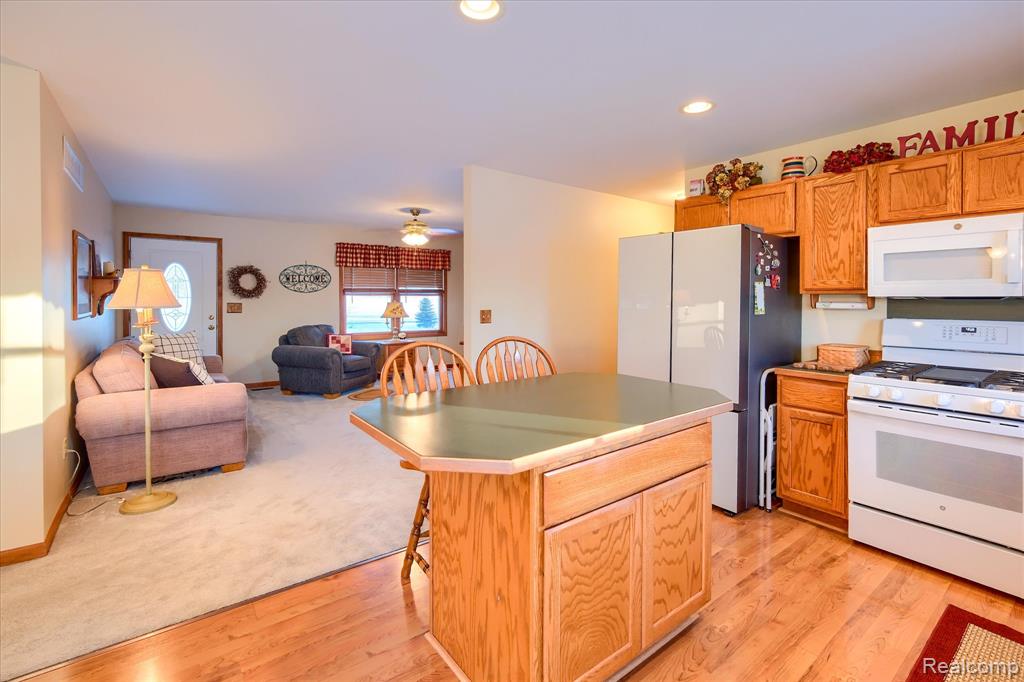 6941 Lake Pleasant Road, North Branch, MI 48461 — Photo 10