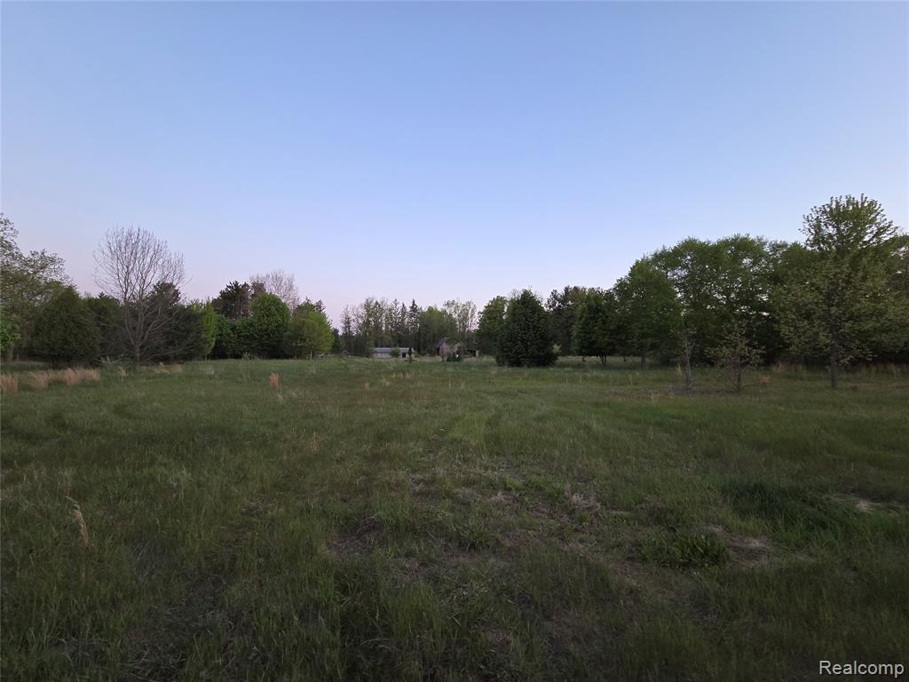 20826 Clark Road, Belleville, MI 48111 — Photo 4