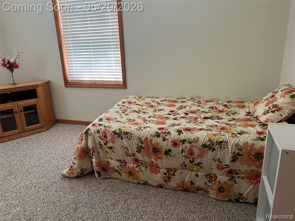 6895 Fairway, Howell, MI 48843 — Photo 20