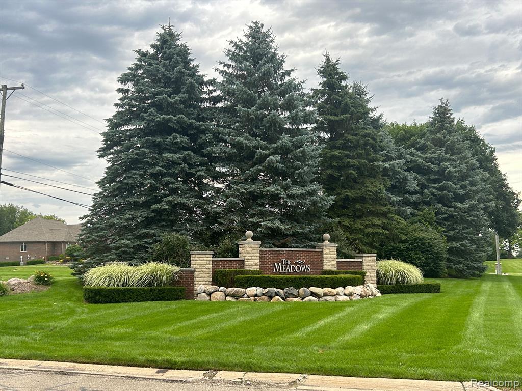 69493 MEADOWBROOK Lane, Bruce, MI 48065 — Photo 3