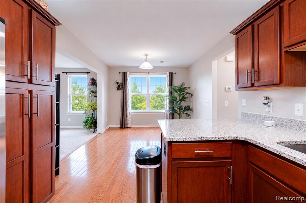 41633 Tera Lane, Novi, MI — Photo 17