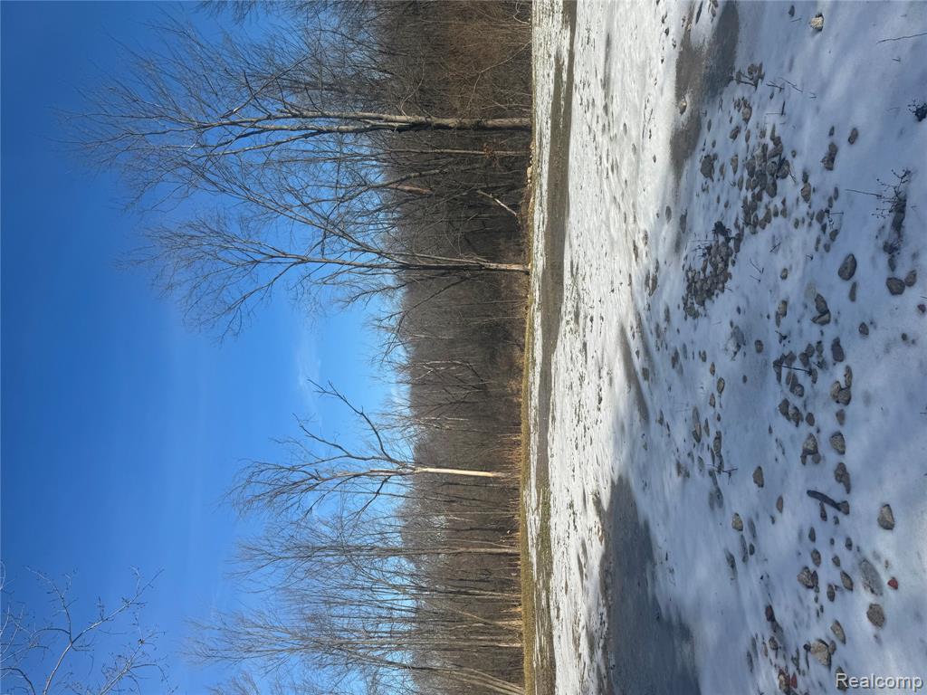 14329 Linder Drive, Holly, MI 48442 — Photo 5