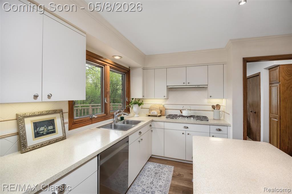 20419 Woodcreek Boulevard, Northville, MI 48167 — Photo 14