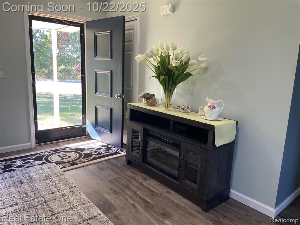 6335 Tubspring Road, Almont, MI 48003 — Photo 4