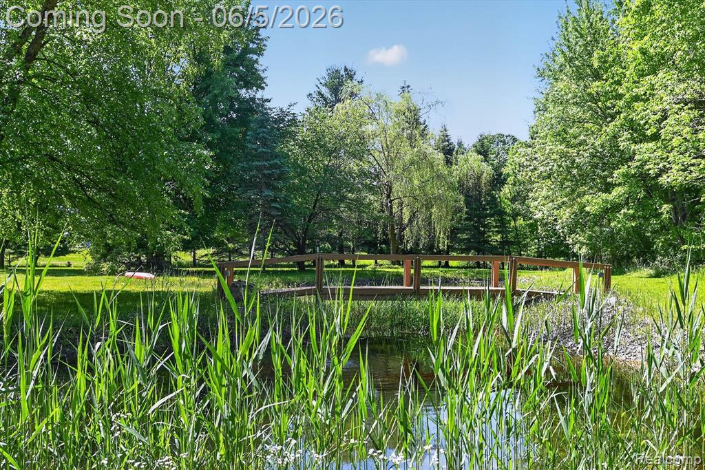 111 N Haywood Road, Webberville, MI 48892 — Photo 18
