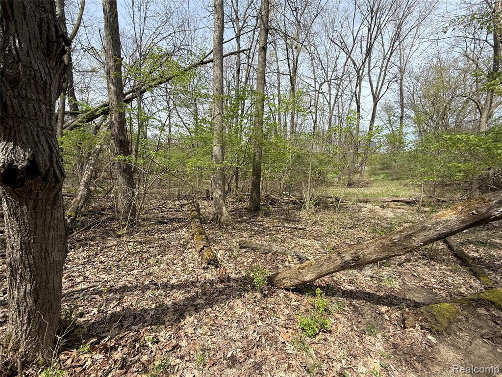 Lot 66 Preserve Drive, Fenton, MI 48430 — Photo 6