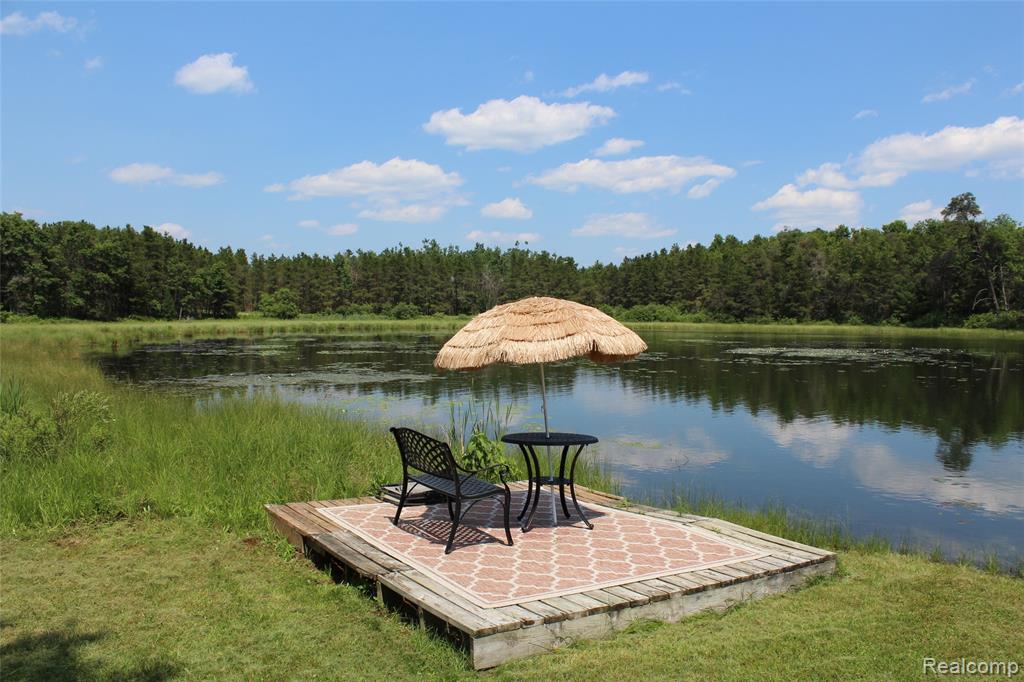 3403 Eggleston Road, Mio, MI 48647 — Photo 12