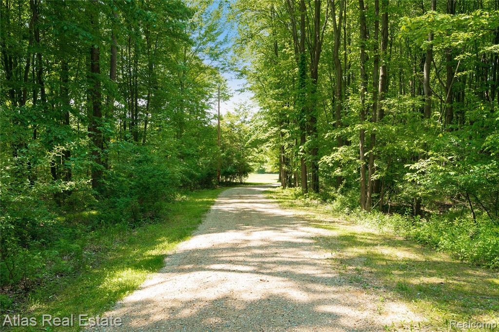 18286 FRANDSCHE Road, Oakley, MI 48649 — Photo 9