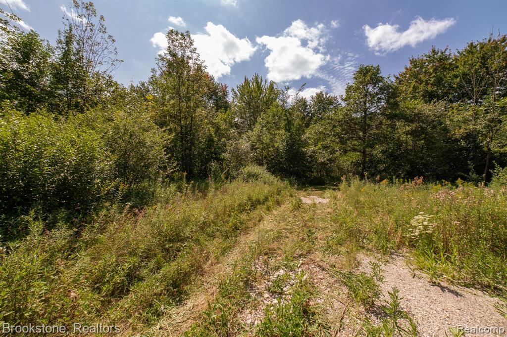 VL Sashabaw Road, Ortonville, MI 48462 — Photo 4