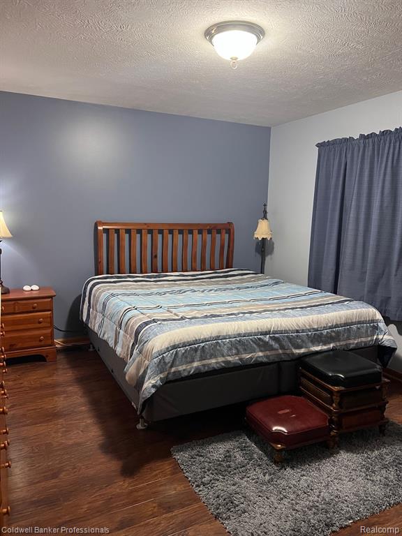314 E Diamond Way, Morrice, MI 48857 — Photo 10