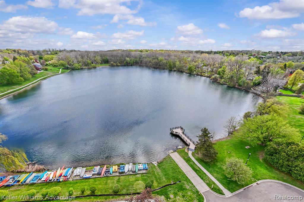42930 Richards Court, Northville, MI 48167 — Photo 44