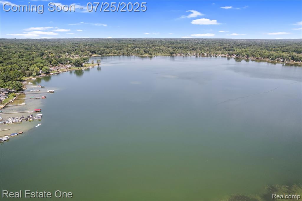 8802 Riverside Drive, Brighton, MI 48116 — Photo 35