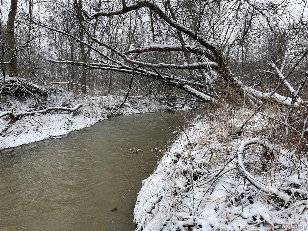 NHN Grand Blanc Road, Gaines Vlg, MI 48436 — Photo 5