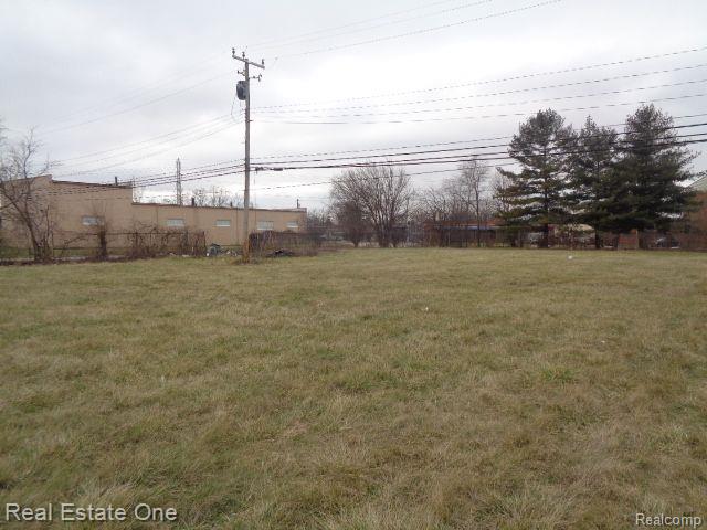 18110 WEAVER Street, Detroit, MI 48228 — Photo 5