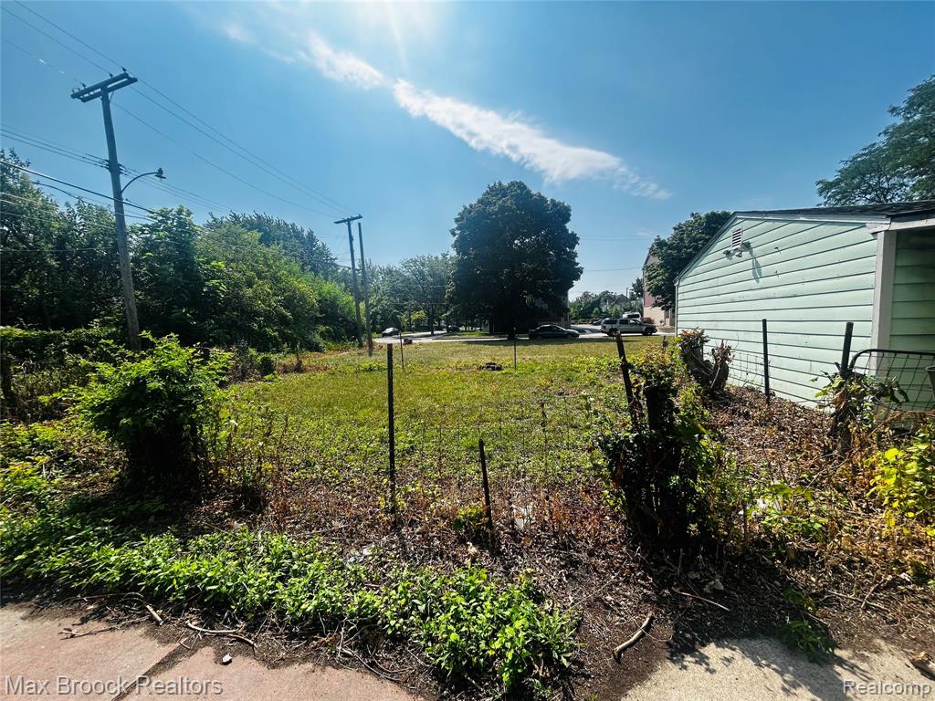 5220 Hecla Street, Detroit, MI 48208 — Photo 18