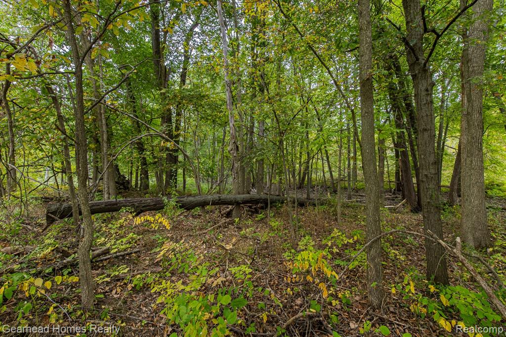 5381 Metamora Road, Metamora, MI 48455 — Photo 97