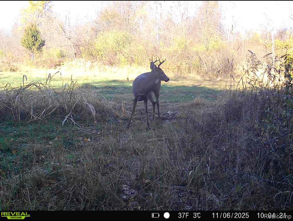 VACANT LAND S. PLAIN Road, Caro, MI 48723 — Photo 12