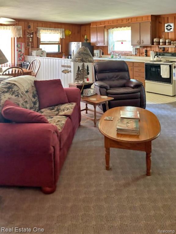 4233 N Pheasant Road, Lincoln, MI 48742 — Photo 6