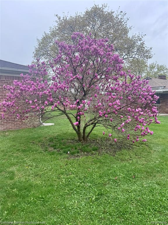 33103 Edgegrove, Fraser, MI 48026 — Photo 2