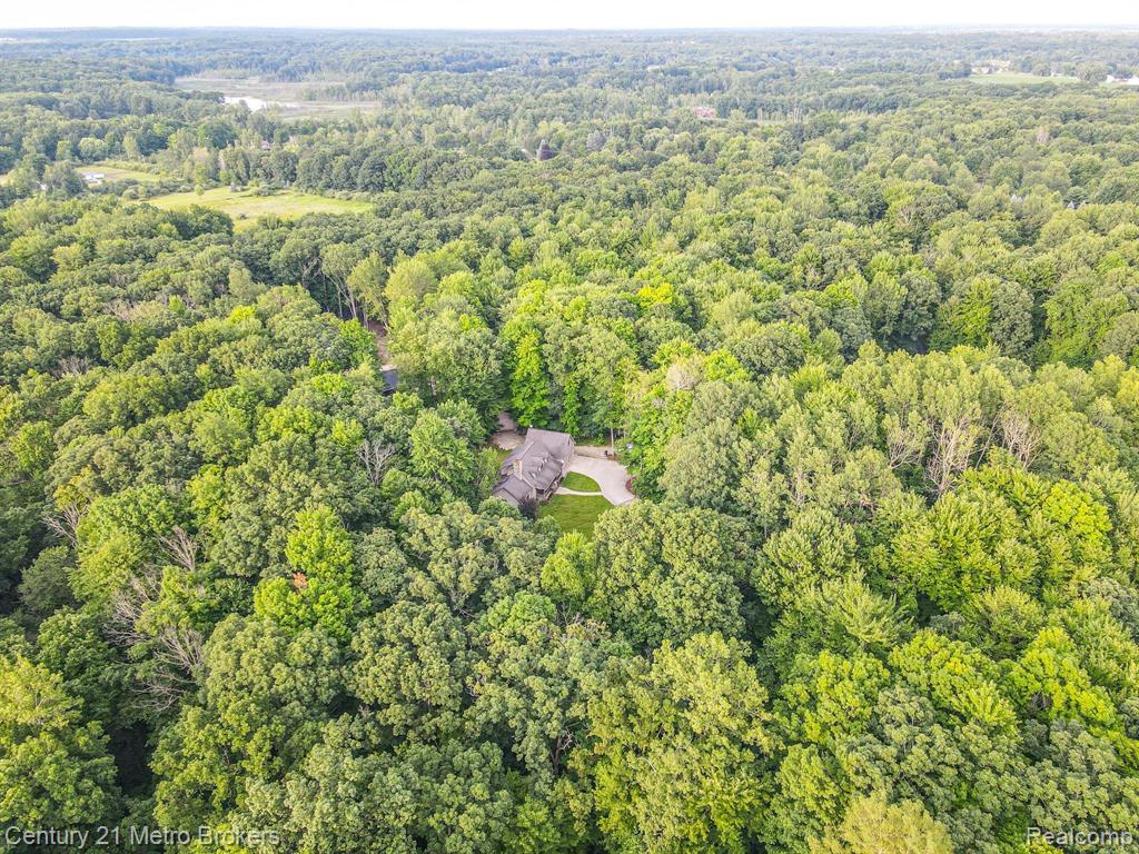 4191 Crystal Creek Estates, Lapeer, MI 48446 — Photo 4