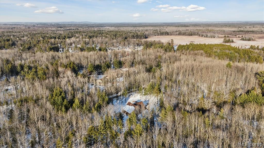 4345 Brenda Court, MI 48656 — Photo 46