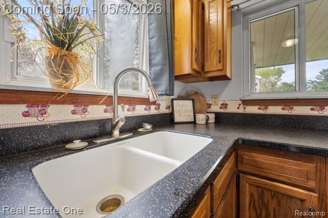 11099 Irish Road, Otisville, MI 48463 — Photo 7