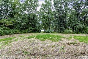 4894 Indian Creek Drive, Jackson, MI 49201 — Photo 6