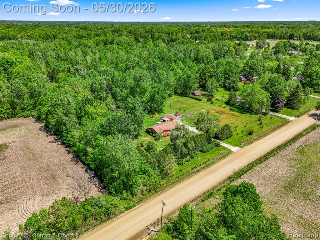 38894 S Huron Road, New Boston, MI 48164 — Photo 41