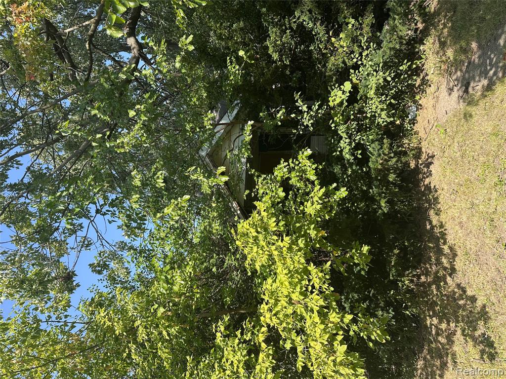 Search Homes for Sale