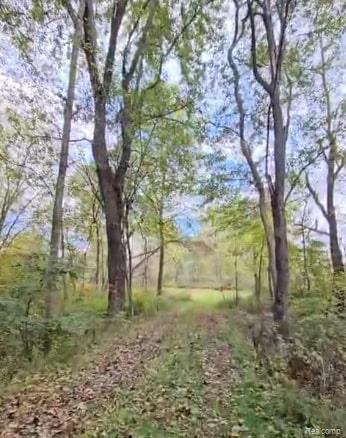 37 Risch Road, Webberville, MI 48892 — Photo 7