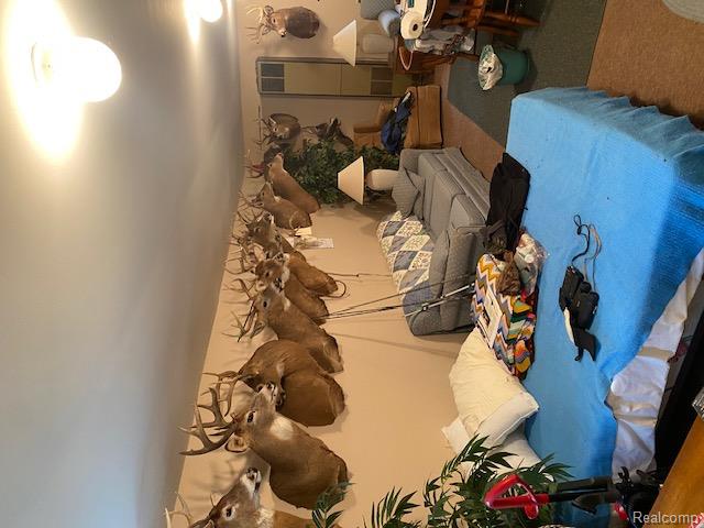 7762 Mason Road, Yale, MI 48097 — Photo 31