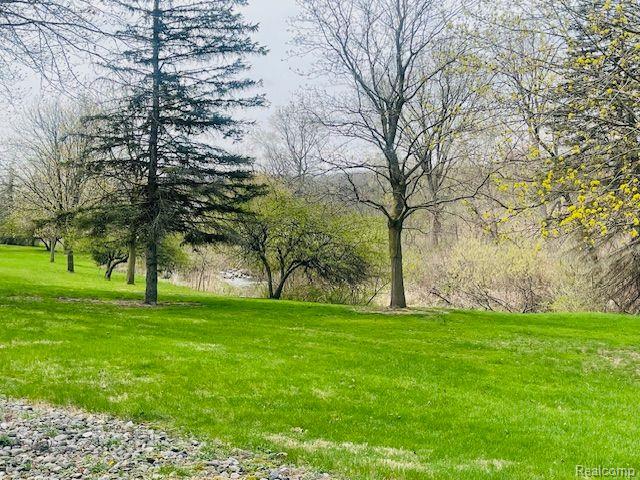 71423 E Pond Creek Drive, Bruce, MI 48065 — Photo 8
