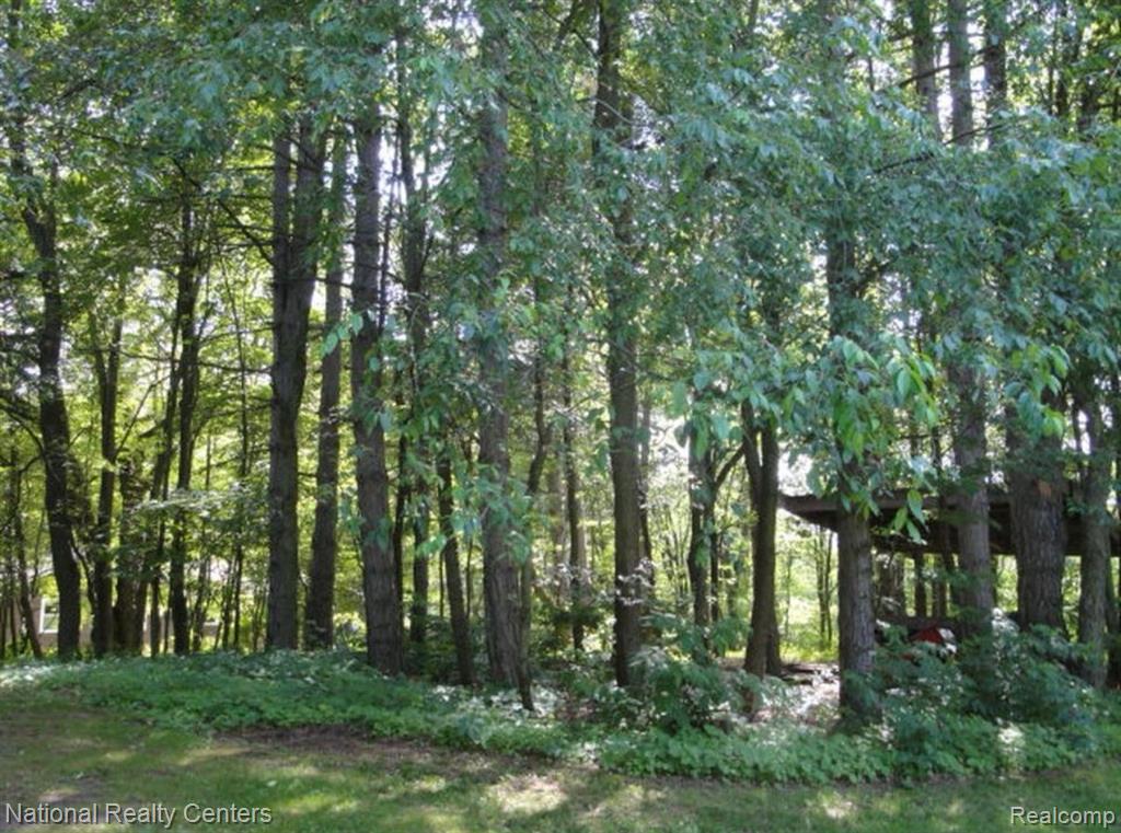 4848 GENERAL SQUIER Road, Dryden, MI 48428 — Photo 44