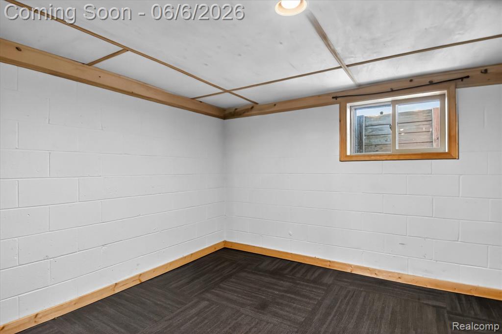 3949 Burnsline Road, Brown, MI 48416 — Photo 58