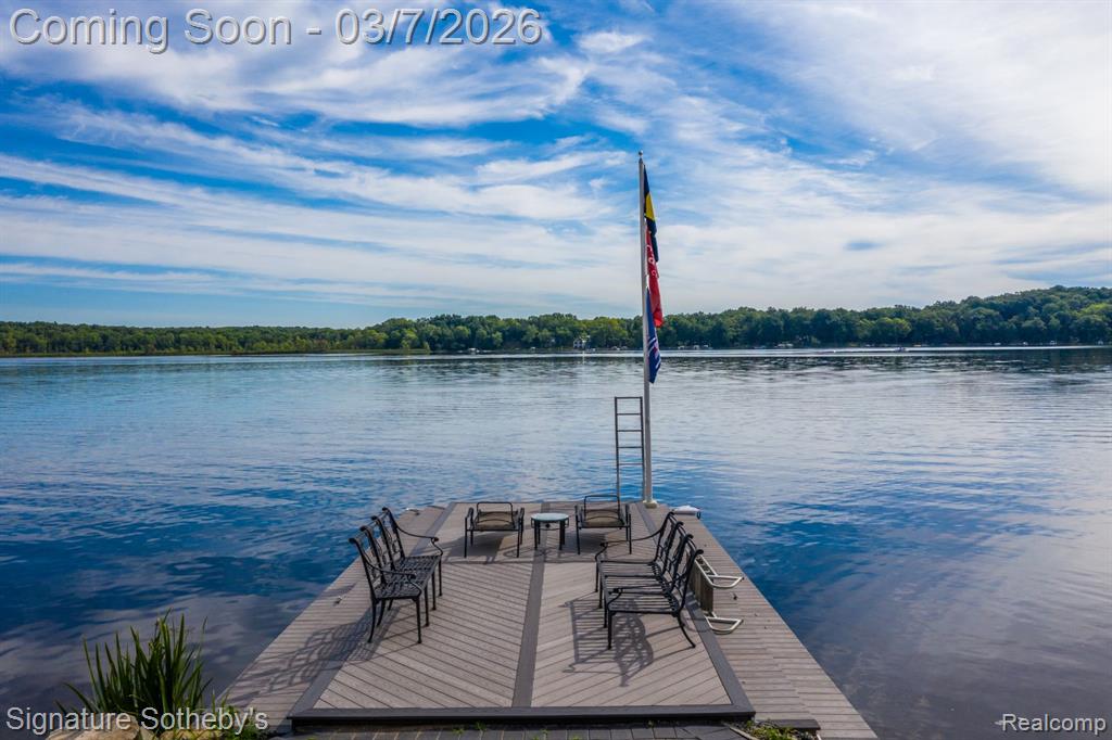 14625 Edgewater Drive, Gregory, MI 48137 — Photo 42