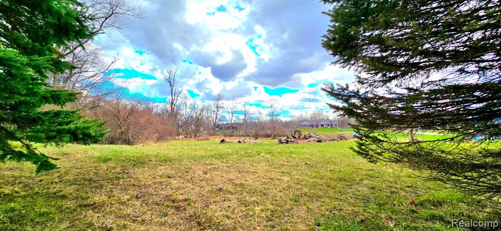 9910 Iosco Ridge Drive, Gregory, MI 48137 — Photo 6